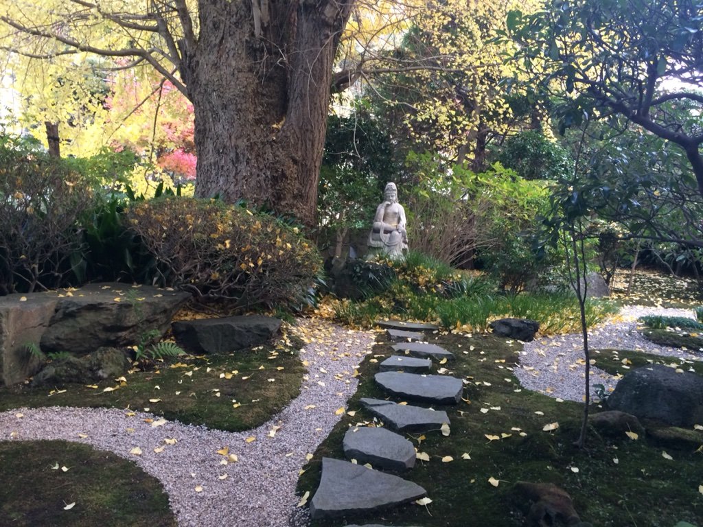 2016-11-29-15-11-10