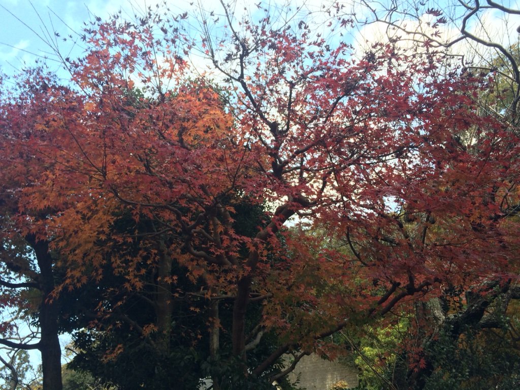 2016-11-29-15-28-08