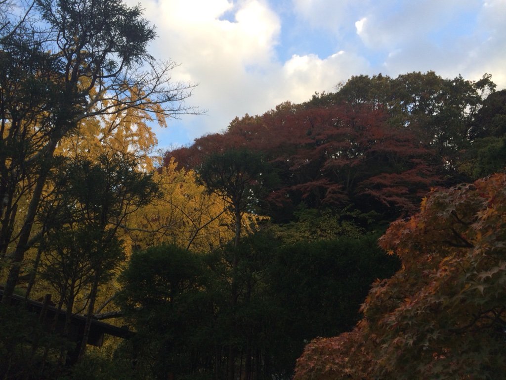 2016-11-29-15-24-07