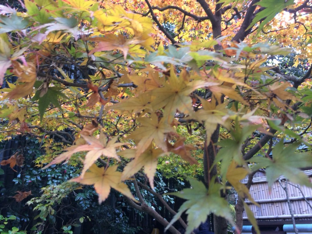 2016-11-29-15-14-26