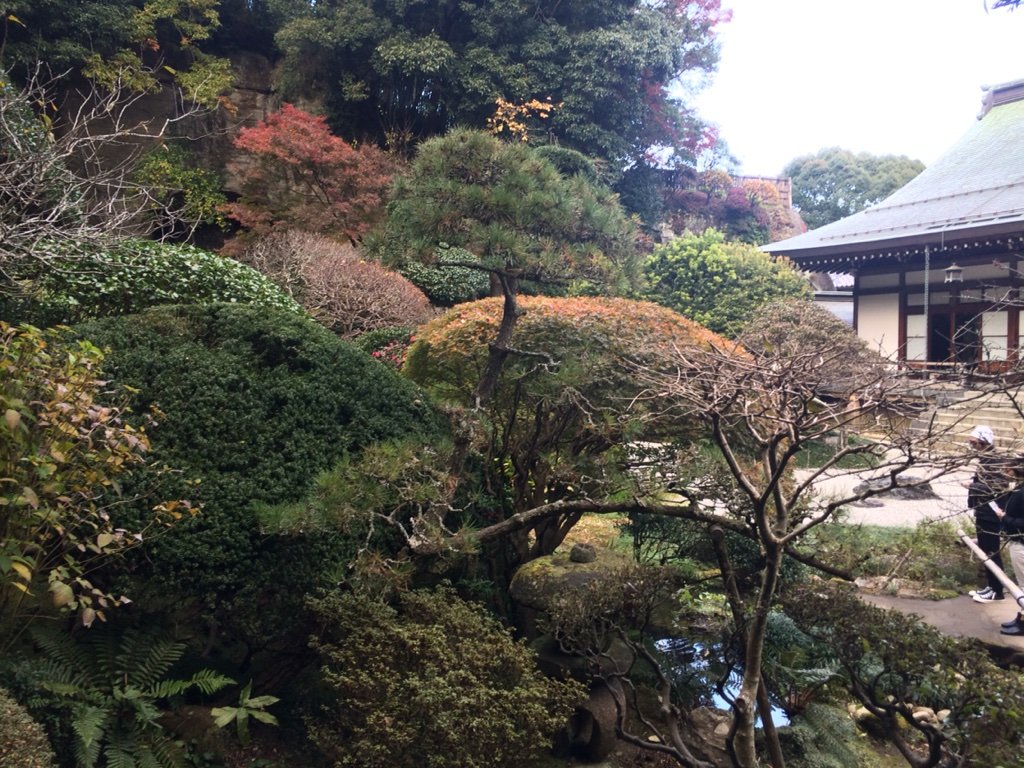 2016-11-29-15-20-14