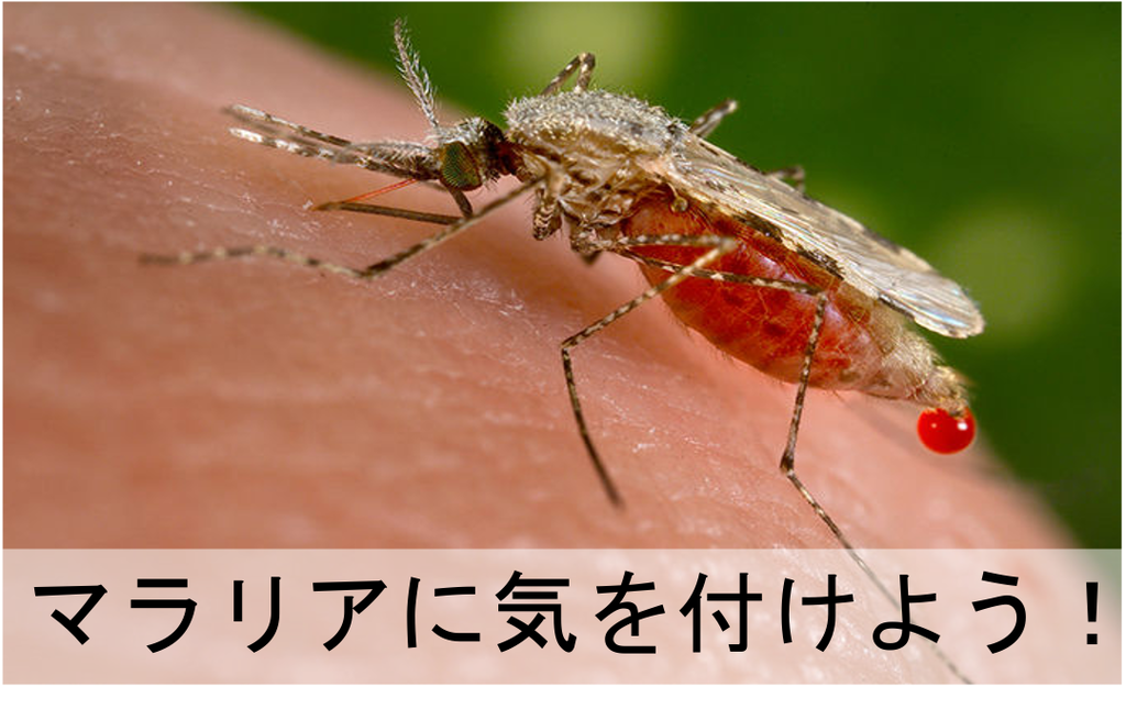 名称未設定