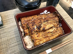 鰻