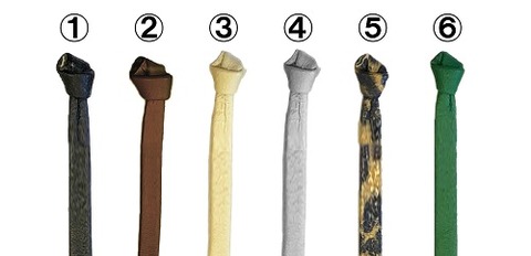 LK_6BeltColor_W500