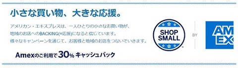 shop small_campaign banner