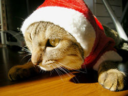 santa-mondo-s