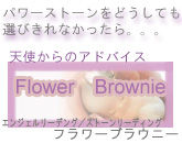 flower-brownie-baner2