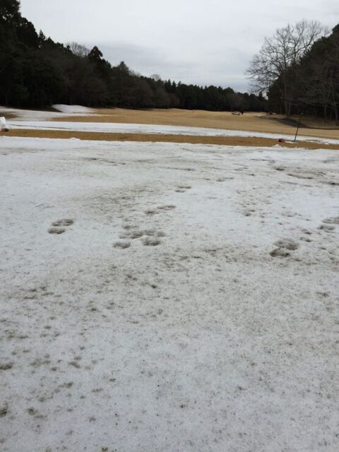 a90cb25d-e1631005509179