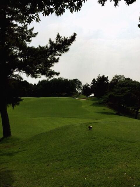 7d7d83d0-e1629439234188