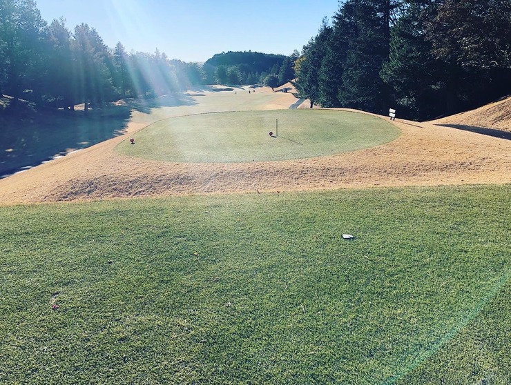 20220203_130439705_iOS