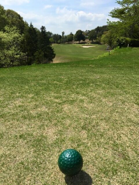 9f0da1b0-e1629458618149