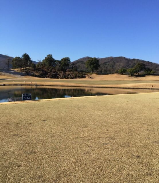 c8605486-e1631006208871