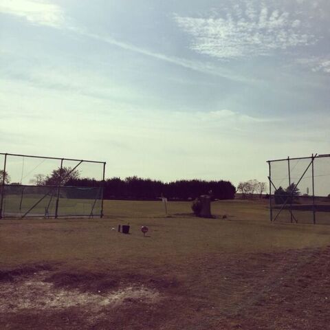 0b9d0178-e1630656050827