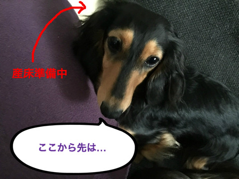 BlogPaint