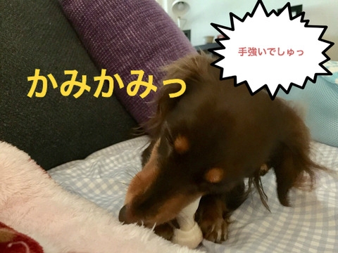 BlogPaint