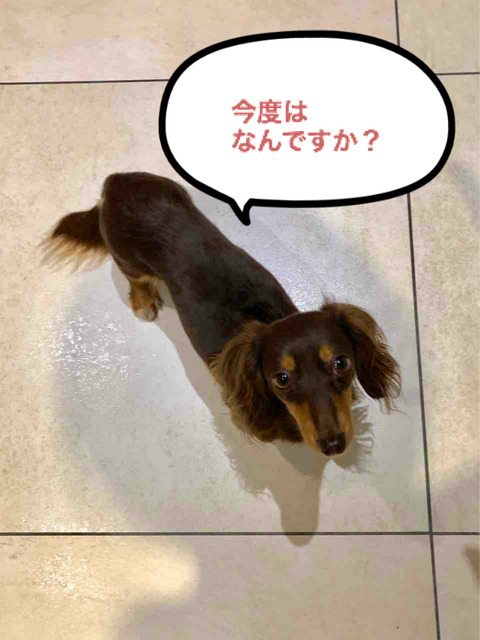 BlogPaint