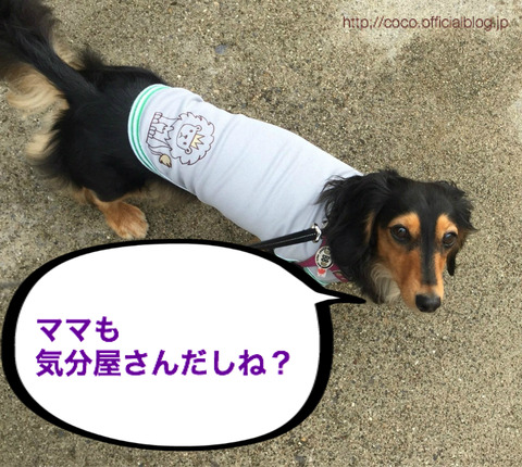 BlogPaint