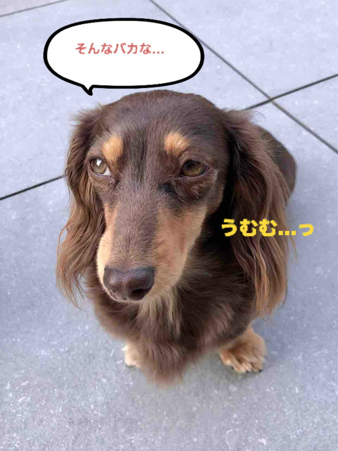 BlogPaint