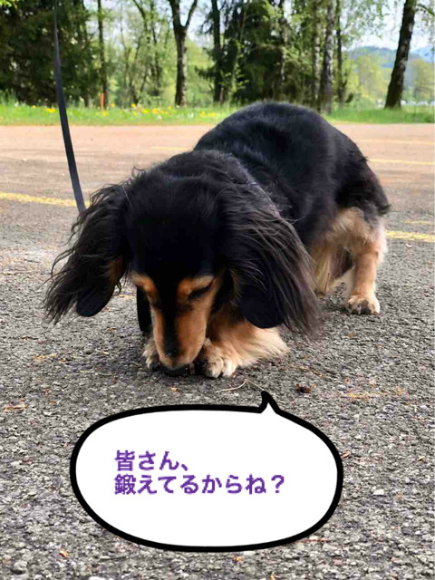 BlogPaint