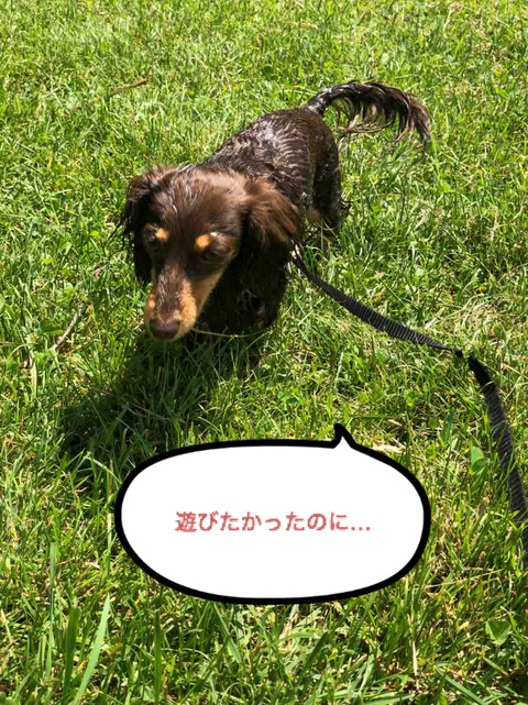 BlogPaint