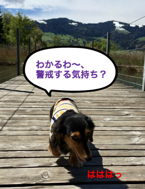 BlogPaint