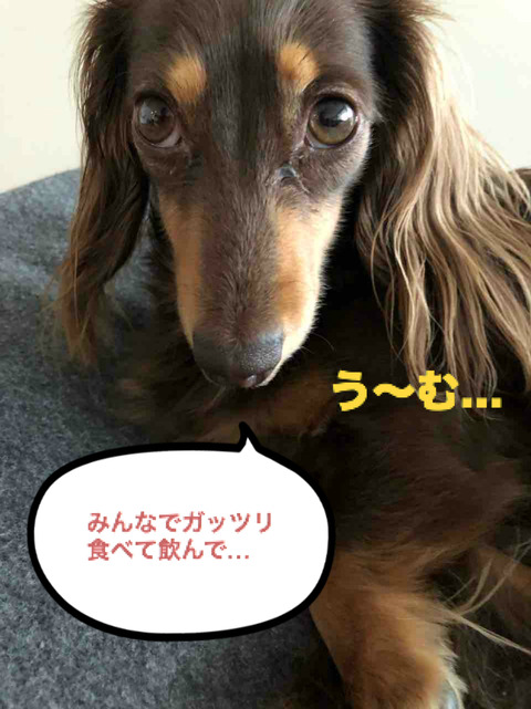 BlogPaint