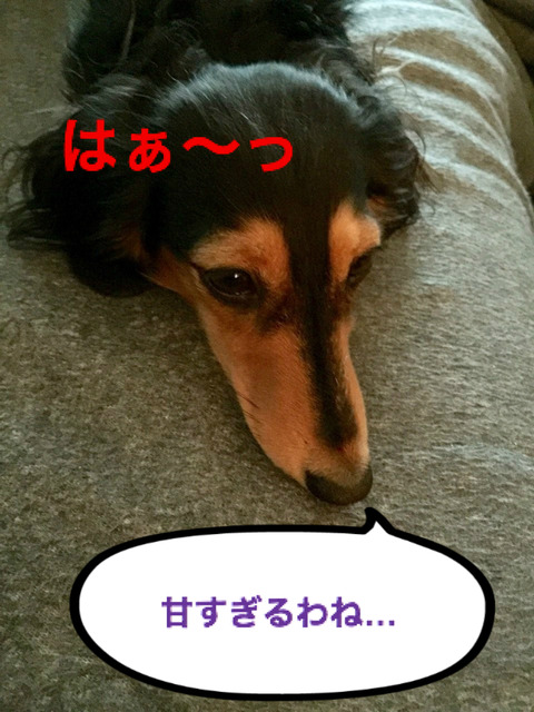 BlogPaint