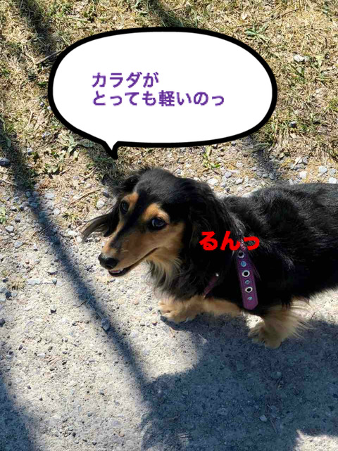 BlogPaint