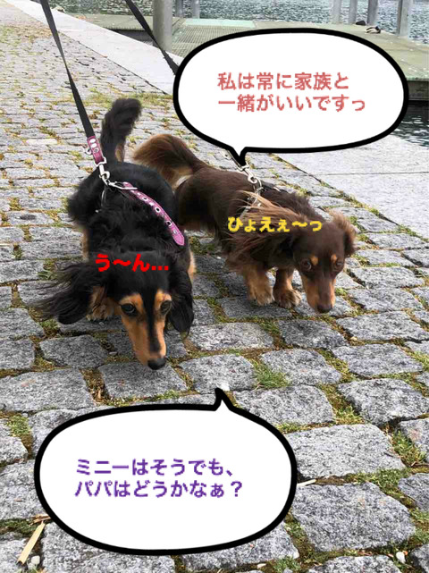 BlogPaint