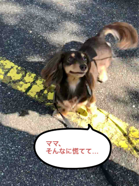 BlogPaint