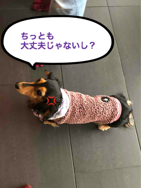 BlogPaint