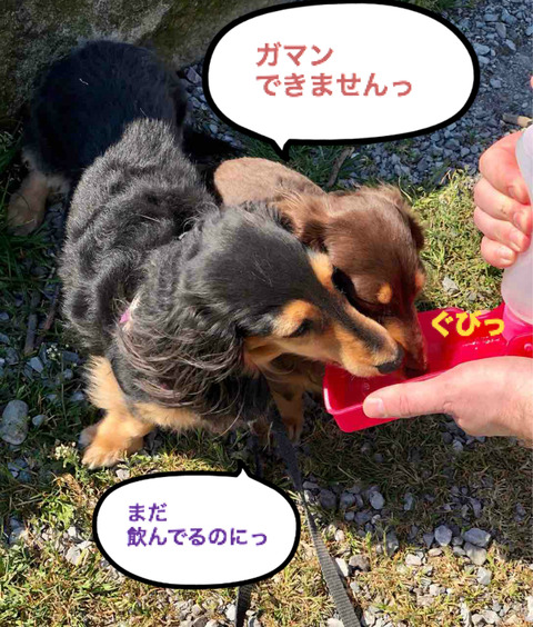 BlogPaint