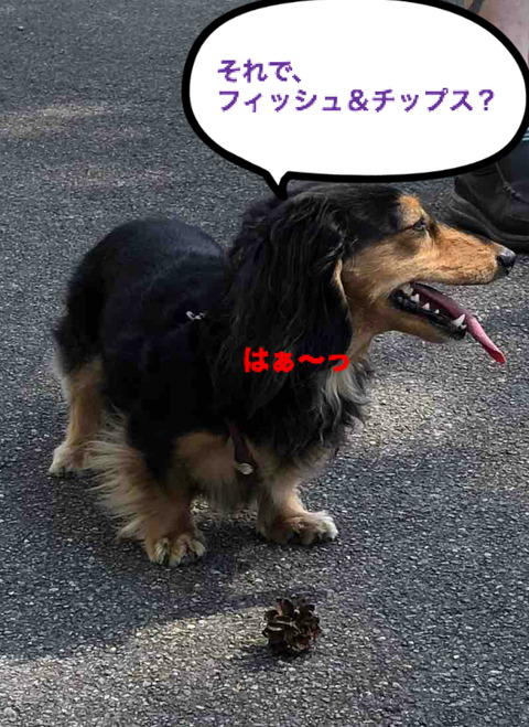 BlogPaint