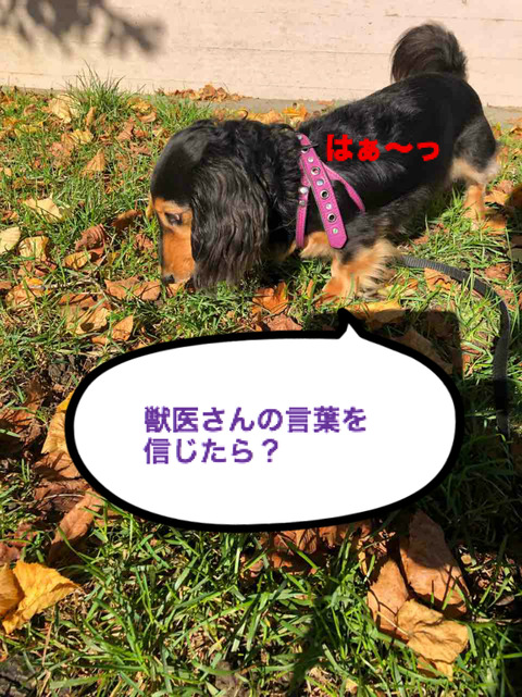 BlogPaint