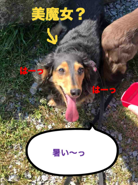 BlogPaint