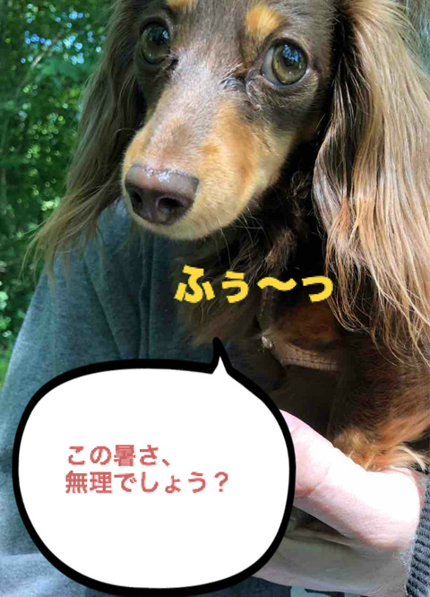 BlogPaint