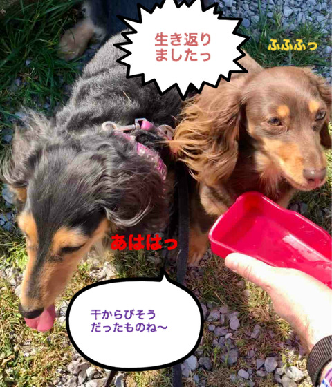 BlogPaint