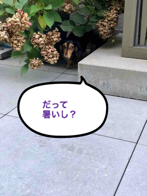 BlogPaint