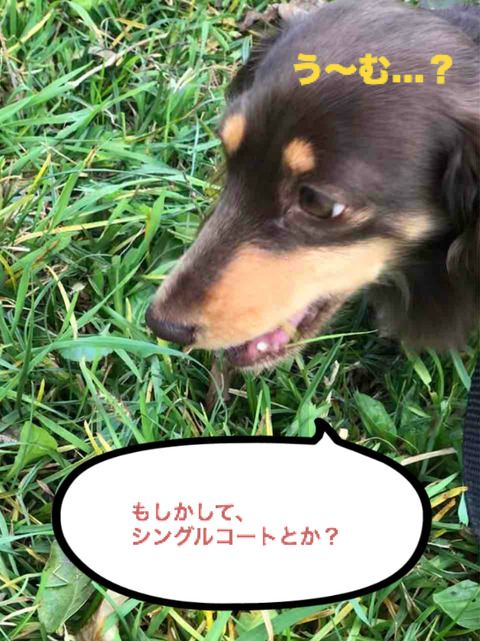 BlogPaint