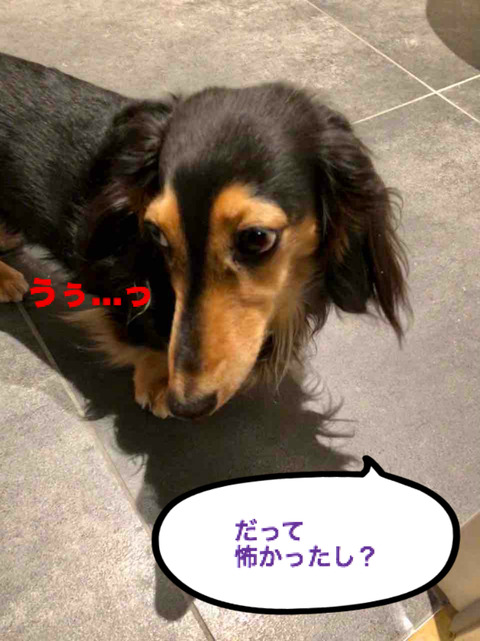 BlogPaint
