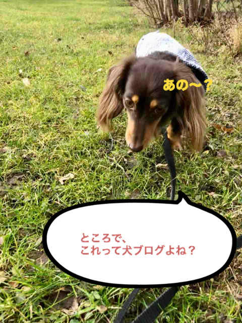 BlogPaint