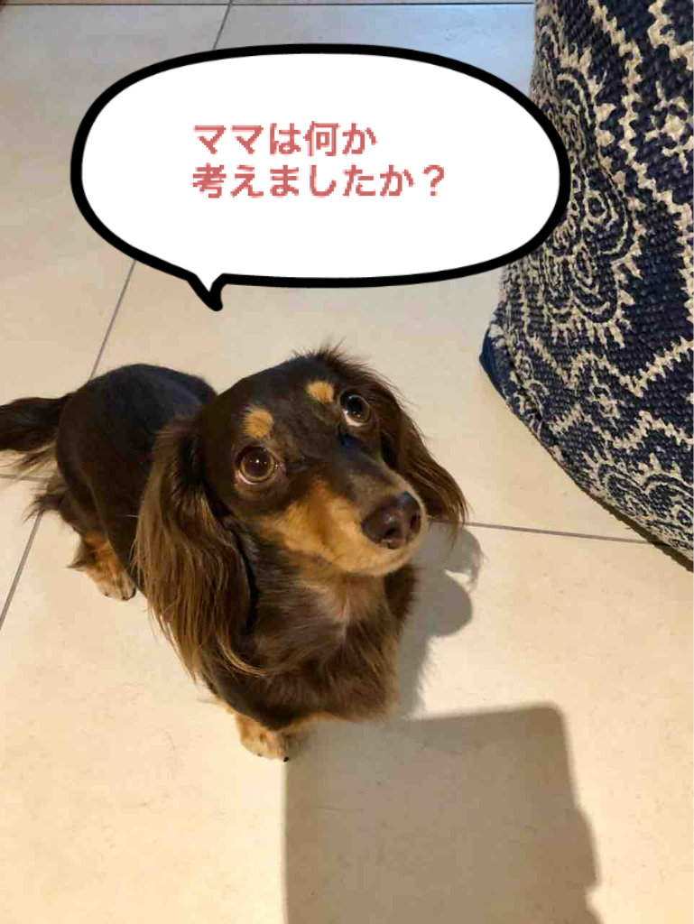 Potato S Family In Switzerland 面白い名前の付いたメロンパン