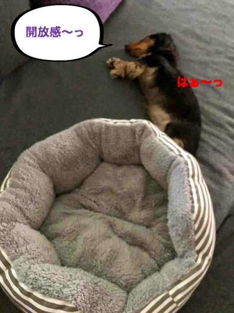 BlogPaint