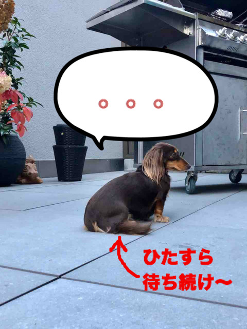 BlogPaint