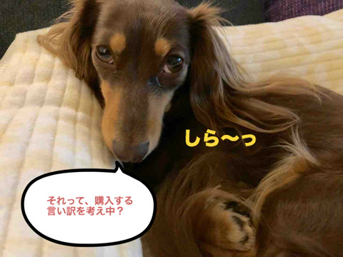 BlogPaint