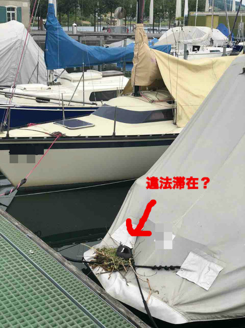 BlogPaint