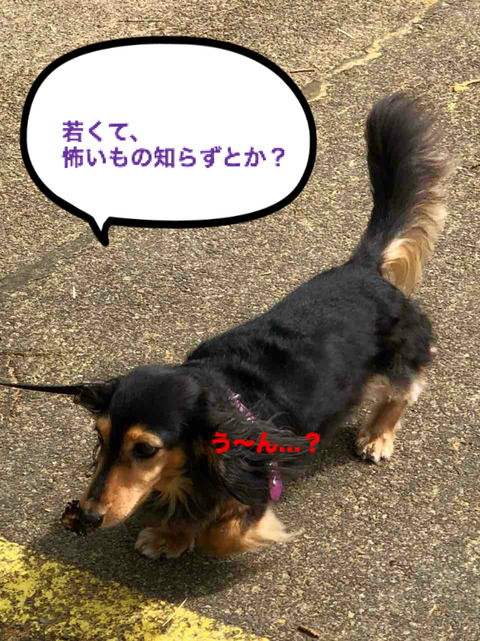 BlogPaint