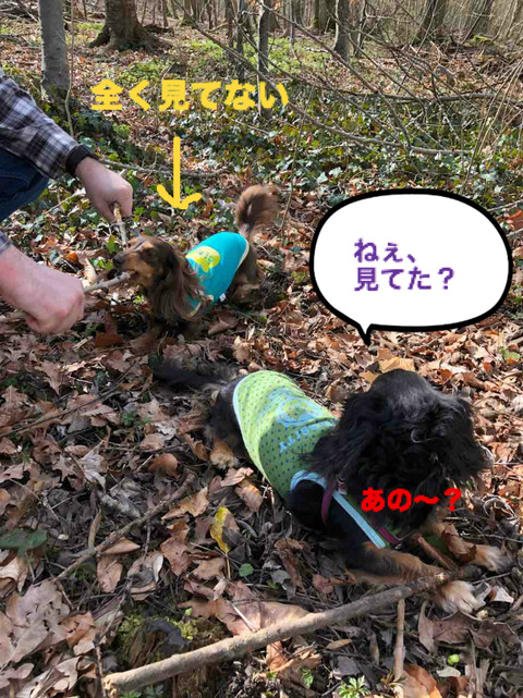 BlogPaint