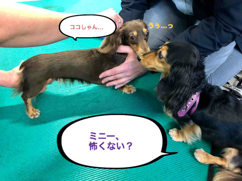 BlogPaint