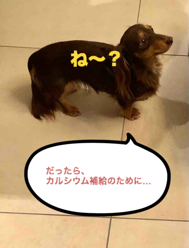 Potato S Family In Switzerland ジャンキー母娘 薬断ちは至難の技